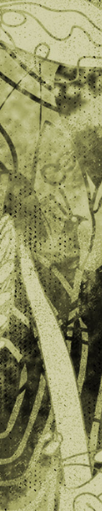 Detall dona i olivera, de Montse Noguera